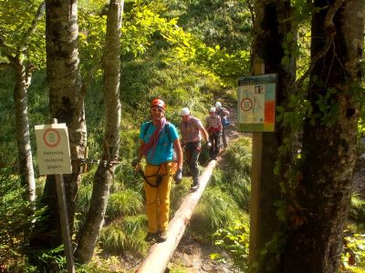 013-Querung des Hausbaches ueber einen Baumstamm